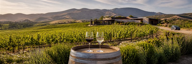 Ruta del Vino, Valle de Casablanca